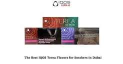 Terea Dubai Flavors and Popular Choices for Smokers image 4749