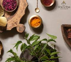 Traditional Skincare Rituals: How Natural Ingredients Support Healthy Skin image 5020
