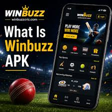 Winbuzz Cricket Statistics Guide: Using Form and Numbers in Context image 5629