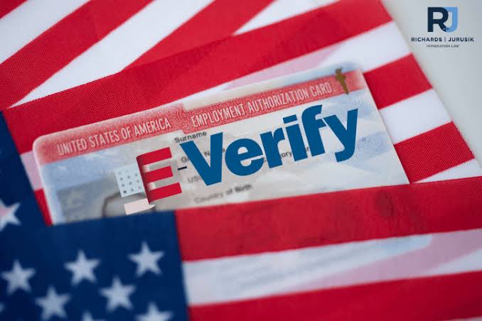 What Is E-Verify and Why It Matters for OPT and STEM OPT Students images 2026 08 16T230615.487