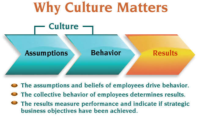Why Measuring Workplace Culture Matters for Organisational Growth images 2026 08 26T163238.517