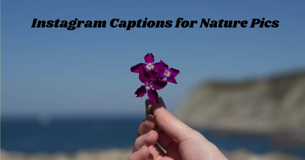 🌿 110+ Inspiring Instagram Captions for Nature Pics That Speak to the Soul instagram captions for nature pics