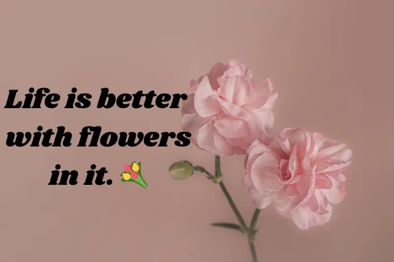 life is better with flowers in it