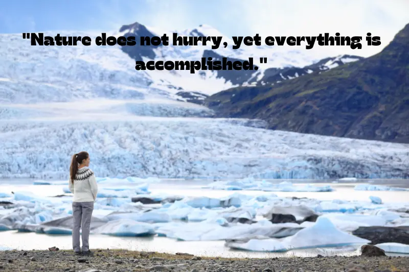 nature does not hurry, yet everything is accomplished