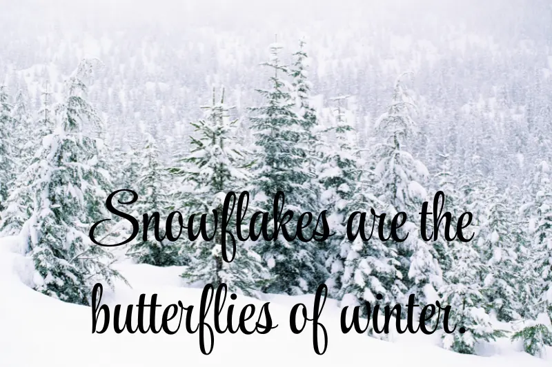 snowflakes are the butterflies of winter