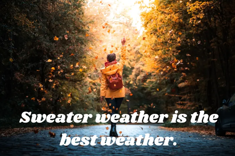 sweater weather is the best weather