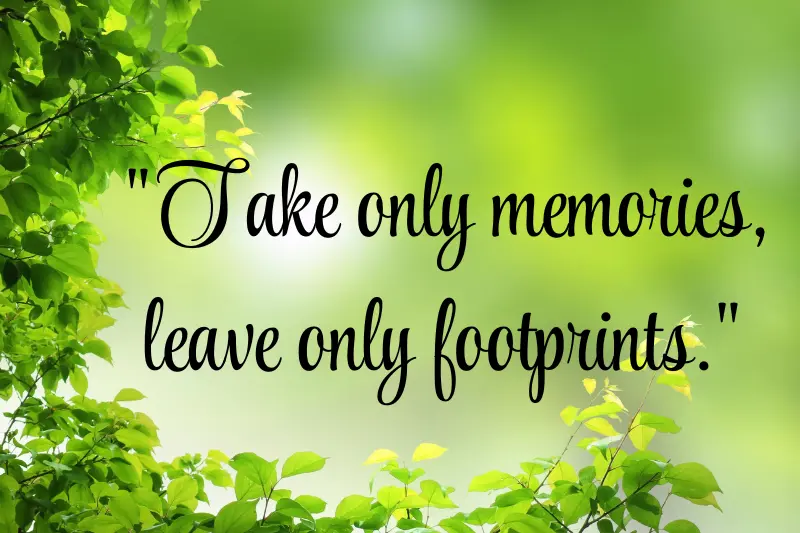 take only memories, leave only footprints