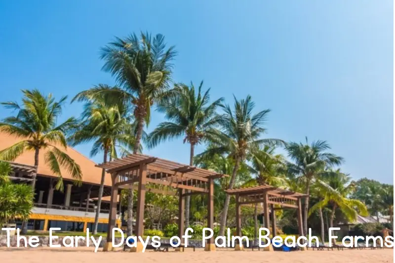 the early days of palm beach farms