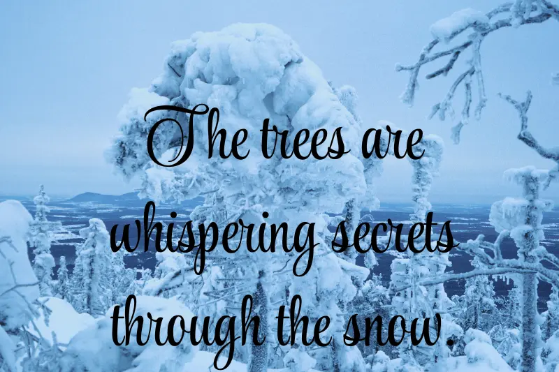 the trees are whispering secrets through the snow