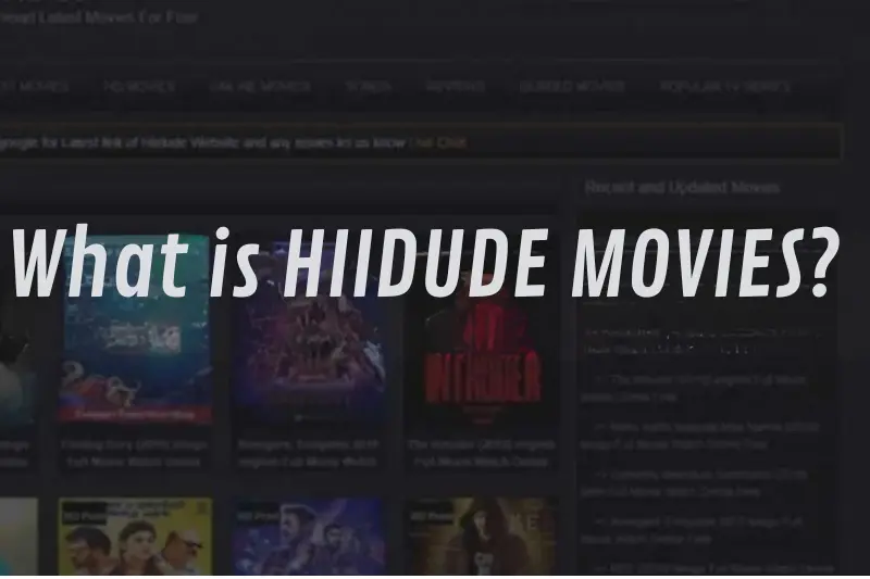 what is hiidude movies