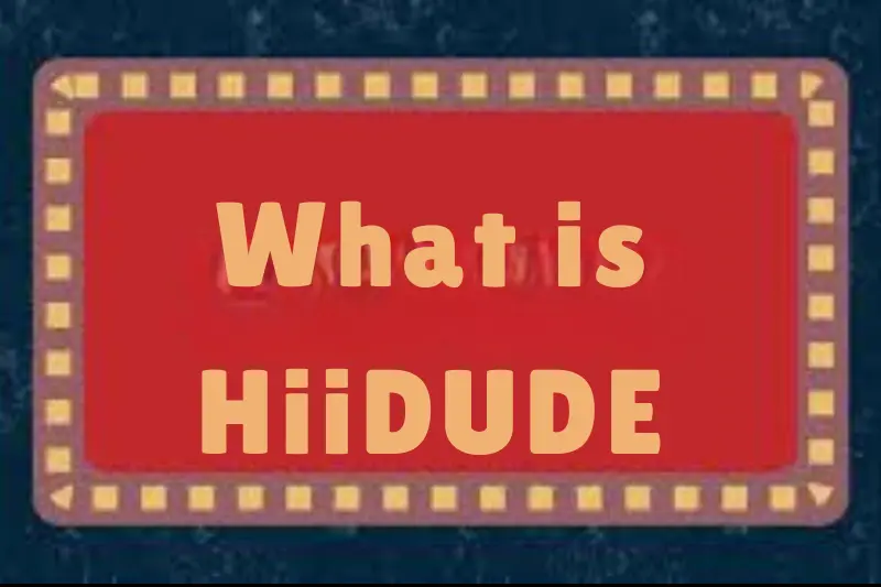 what is hiidude