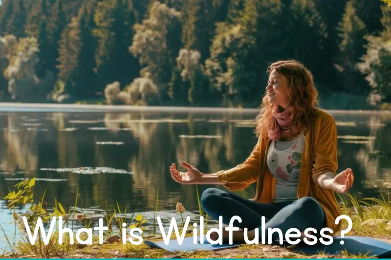 what is wildfulness