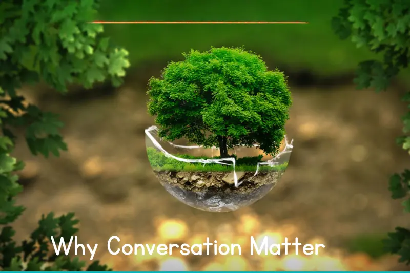 why conversation matter